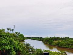 -东寨港红树林旅游区