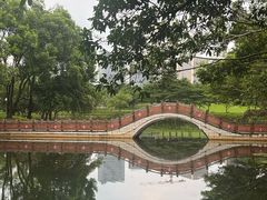 -深圳龙潭公园