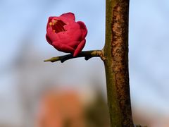 -山东大学(趵突泉校区)