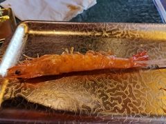 -牛New寿喜烧(金鹰世界店)