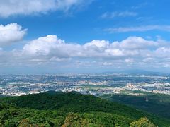 -东莞市大岭山森林公园