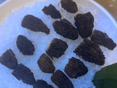 -探窝·竹笙椰子鸡(杨箕店)