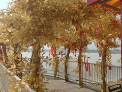 -青龙湖公园