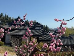 -威海华夏城景区