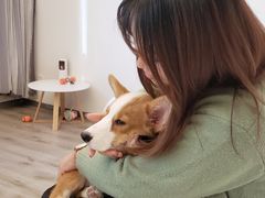 -浣熊柯尔鸭土拨鼠·电玩咖