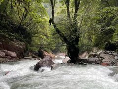 -西岭雪山大飞水景区