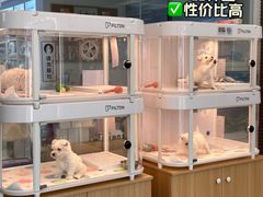 -翊宠yipet猫狗购宠庄园