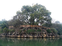 -桂林两江四湖景区