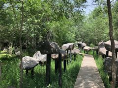 -鲤鱼山公园