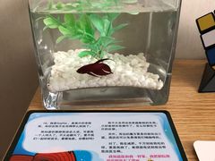 -桔子酒店(南京新街口张府园地铁站店)
