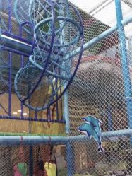 -小玩家儿童主题乐园(世茂广场店)