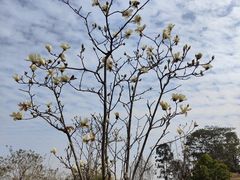 -中国移动南方基地