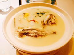 养颜白汁河豚-肆月河豚·新淮扬(金融街店)