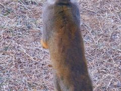 -济南野生动物世界