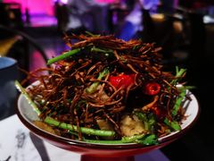 茶树菇鱿鱼-啤仕多·啤客国潮跳舞BAR(保俶路店)