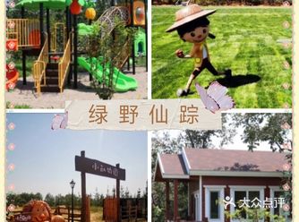 六一畅玩~绿野仙踪郊野乐园鸭