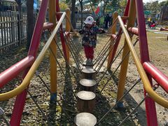 -上海海湾国家森林公园