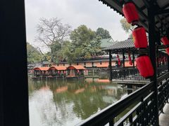 -侨美·唐荔园·40年地道粤菜