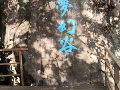 -呀诺达热带雨林