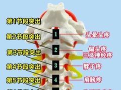 -体博士·疼痛调理·体态矫正·运动康复中心(大望路华贸店)