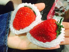 -菜园坝水果市场