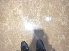 -东方名猫馆·英短金渐层布偶猫舍(环线广场1号楼店)