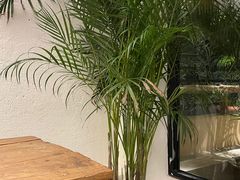 -邊渡咖啡