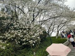 -杭州少年儿童公园