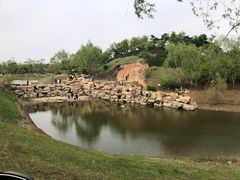 -莫子山公园