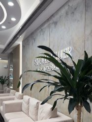 -上海首尔丽格医疗美容医院