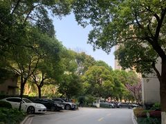 -上海虹桥迎宾馆