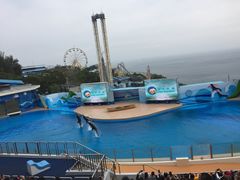 -麦当劳(海洋公园店)