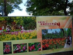-文瀛公园