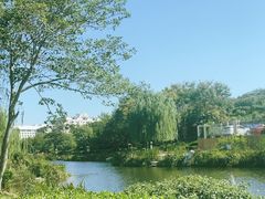 -丁家河公园