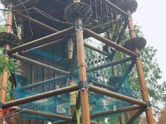 -黄海国家森林公园