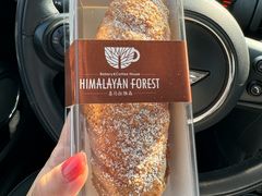 -喜马拉雅森HIMALAYAN FOREST