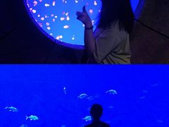 -哈尔滨波塞冬海底世界