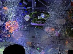 -胡桃里音乐酒馆(下沙店)