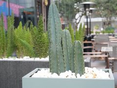 -Something For(中洲湾店)