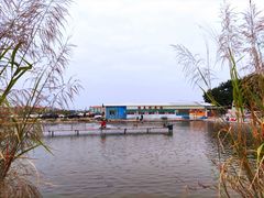 -鲮鱼村(龙归店)