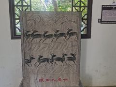 -上海醉白池公园