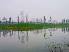 -白鹭湾湿地公园