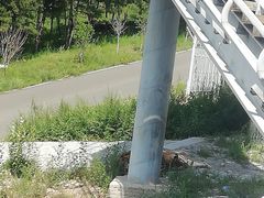 -大青山野生动物园