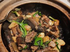 -新兴·金羊座·粤菜点心(乐峰店)