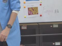 -神奇科学家STEAM科学实验科创赛事机器人编程逻辑思维MadScience(长宁来福士校区)
