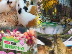 -正佳雨林生态植物园