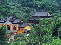 -树山生态村