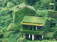 -枸杞岛