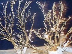 -亚龙湾中心广场·贝壳馆