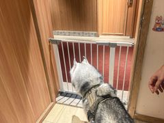 -秦皇岛阿尔卡迪亚滨海度假酒店